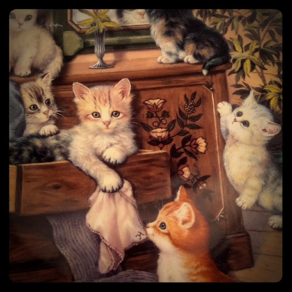 Sweet Whiskers Little Rascals